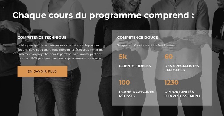 Utilisateur exceptionnel Créateur de site Web HTML