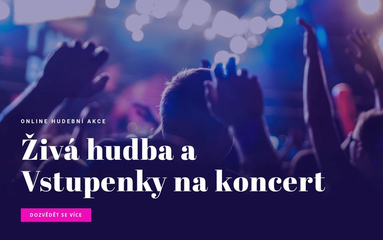 Živá hudba a lístky na koncert Šablona