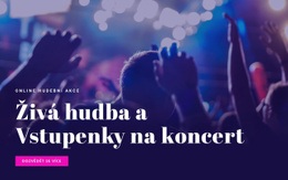 Živá Hudba A Lístky Na Koncert - Profesionální Design Webových Stránek