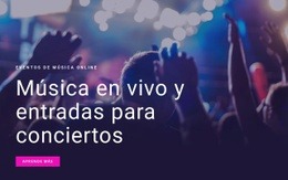 Entradas Para Conciertos Y Música En Vivo: Página De Destino Profesional Personalizable