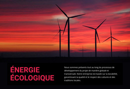 Énergie Éolienne Écologique : Modèle De Site Web Simple