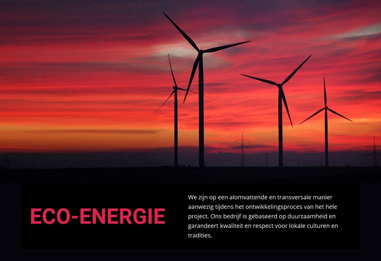 Eco windenergie Website mockup