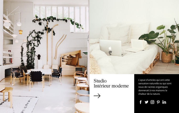Projets de design d'intérieur de luxe Modèle de site Web