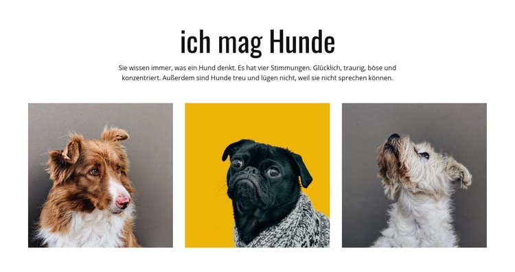 Galerie Hunde Eine Seitenvorlage