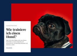 Grundausbildung Hund - HTML5-Vorlage