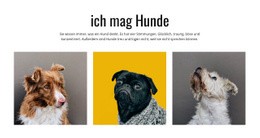 Galerie Hunde - HTML5-Seitenvorlage