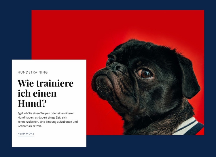 Grundausbildung Hund Joomla Vorlage