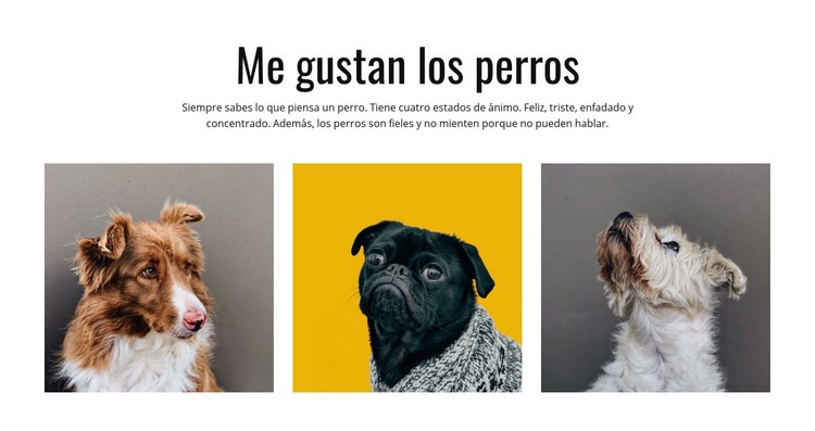 Perros de la galería Plantillas de creación de sitios web