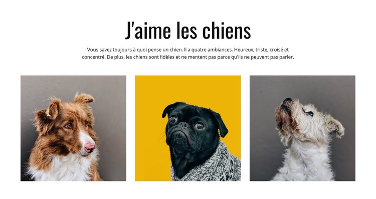 Chiens de galerie Conception de site Web