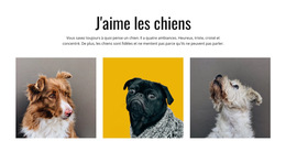 Chiens De Galerie - Thème De Site Web Prêt