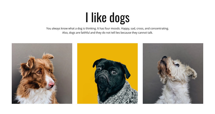 Gift ideas for pet owners Homepage Design