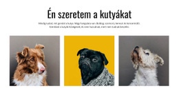 Ajándékötletek Állattulajdonosoknak – Kész Webhelytéma