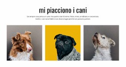 Mockup Dello Schermo Per Galleria Cani