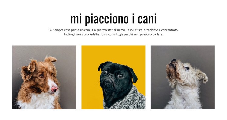 Galleria cani Mockup del sito web