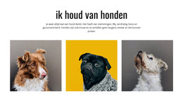 Galerij Honden - Beste HTML-Sjabloon