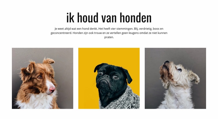 Galerij Honden HTML5-sjabloon
