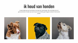 Galerij Honden - Joomla-Websitesjabloon