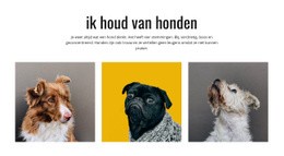 Gratis Online Sjabloon Voor Galerij Honden