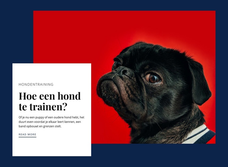 Basistraining hond Website mockup