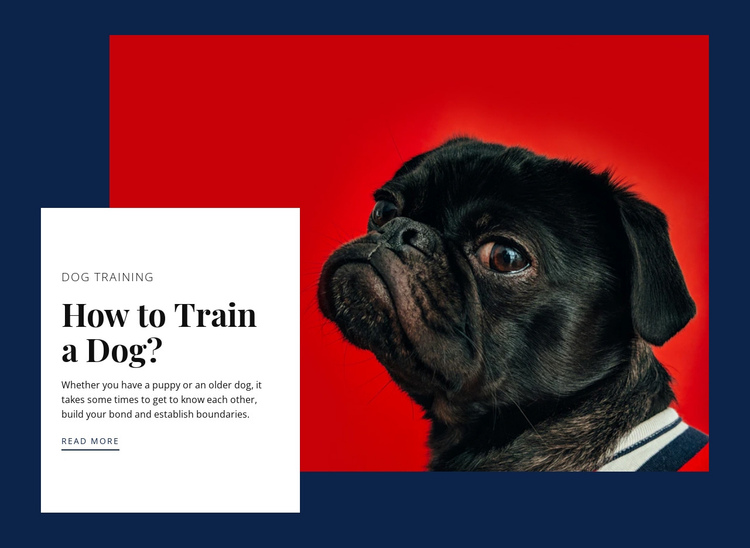 Online reactive dog class One Page Template