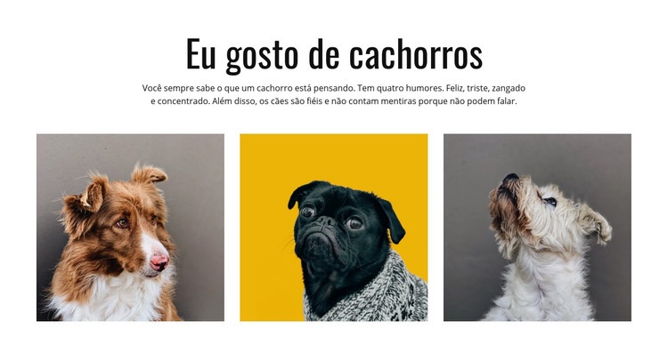 Galeria de cães Design do site