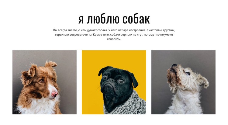 Галерея собак HTML шаблон