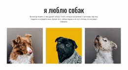 Галерея Собак - Готовая Тема Сайта