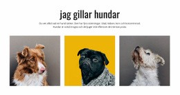 Gratis Onlinemall För Presentidéer Till Djurägare