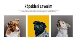 Galeri Köpekler Ücretsiz Şablon