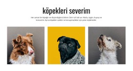 Galeri Köpekler - Kullanımı Kolay Tek Sayfalık Şablon