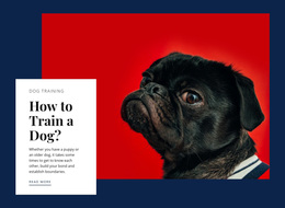 Online Reactive Dog Class Web Page Design