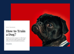 Online Reactive Dog Class - Drag & Drop WordPress Theme