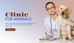 Animal Veterinary Hospital