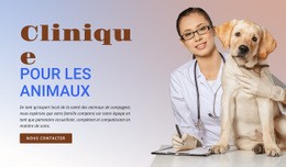 Créateur De Site Web Prêt À L'Emploi Pour Clinique Pour Animaux