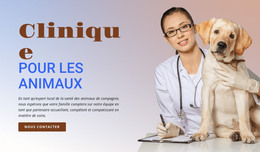 Conception De Pages HTML Pour Clinique Pour Animaux