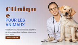 Clinique Pour Animaux - Modèle De Site Web Joomla