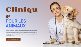Clinique Pour Animaux - Page De Destination
