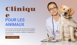 Page De Destination Du Produit Pour Clinique Pour Animaux