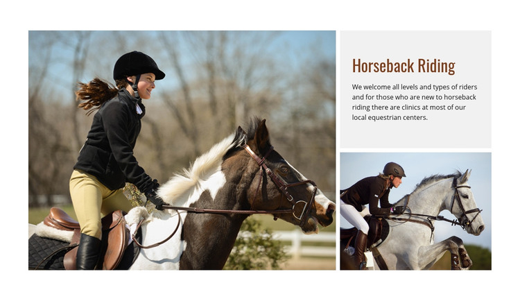 Sport horseback riding  Homepage Design