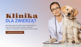 Uniwersalna Makieta Witryny Internetowej Dla Klinika Dla Zwierząt