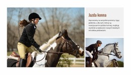 Oszałamiający Projekt Strony Internetowej Dla Jazda Konna Sport