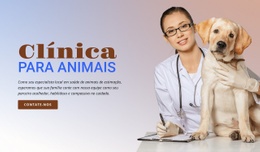 Maquete De Site Multifuncional Para Clínica Para Animais