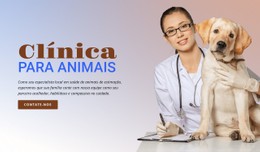 Clínica Para Animais Templates 2021