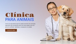 Clínica Para Animais Modelo De Página De Destino