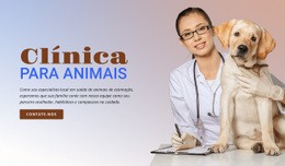 Tema HTML5 Para Clínica Para Animais