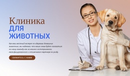 Клиника Для Животных Шаблон Целевой Страницы