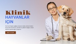 Hayvanlar Kliniği Açılış Sayfası Şablonu