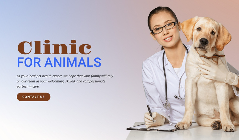 Animal veterinary hospital Web Page Design