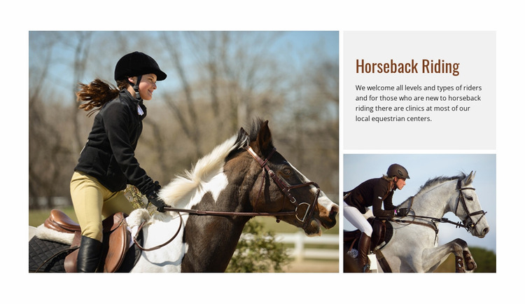 Sport horseback riding  Website Mockup