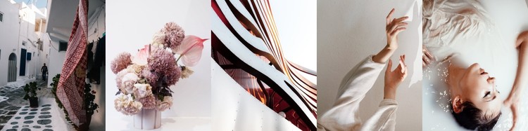 Galerie mit luxuriösem Interieur CSS-Vorlage